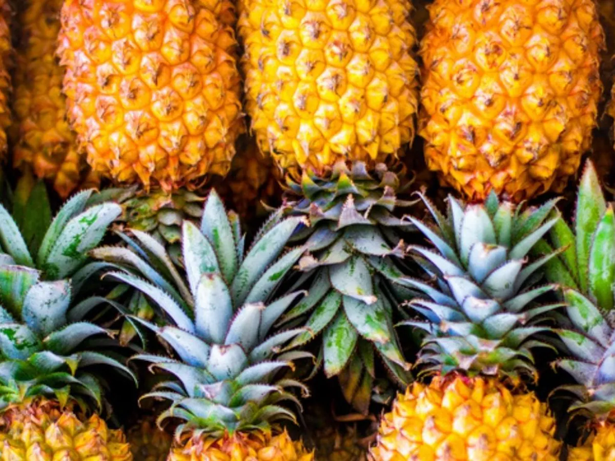 Ananas